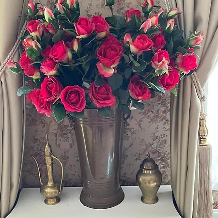 Luxurious Classical Dutch Styled In Centre Of - 3* Haag